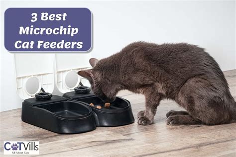 Cat Microchip Feeder