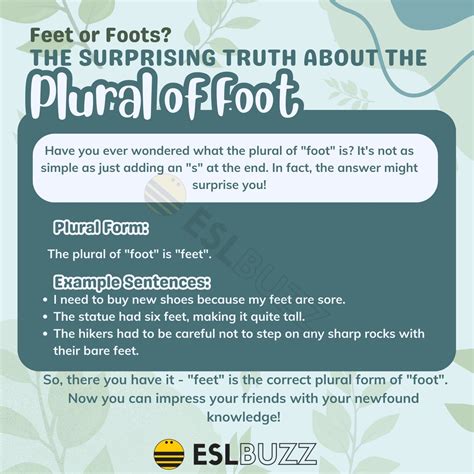 Cruet Plural Meaning at Alana Mcgovern blog