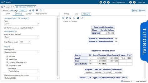Image result for SAS Programs Examples