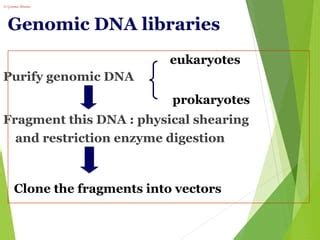 DNA Library Process 的图像结果