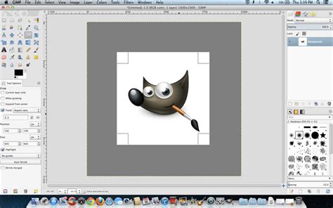 GIMP Tutorial Basic Photo Editing 的图像结果