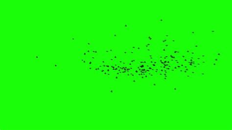 Image result for Greenscreen Flying