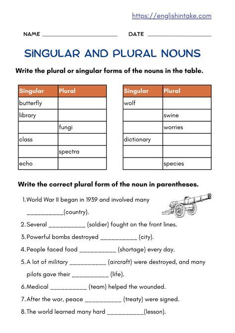 Singular and plural nouns - Exercises with answers