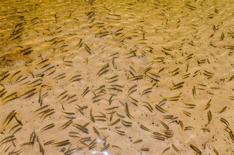 Image result for Amazing Study Tips