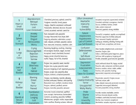 Emotion Code Demonstration 的图像结果