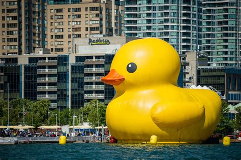 Events in toronto: The world's largest rubber duck is coming back to Toronto