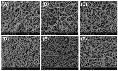 Preparation and Properties of Electrospun PLLA/PTMC Scaffolds