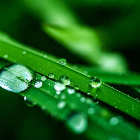 Area Rug Cleaner Brooklyn - Lohnt es sich? Aktuell für 2025 (mit Fotos)