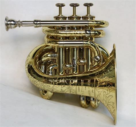 Image result for Cornet Musical Instrument