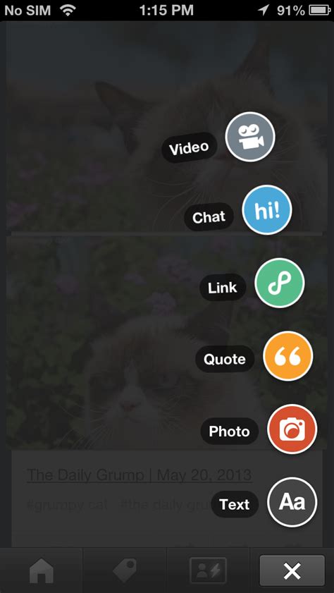 Image result for Tumblr Messaging iOS