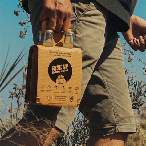 Sample Pack (4 pack - mix flavours) – Rise Up Kombucha