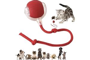 Amazon.in Hot New Releases: The bestselling new and future releases in ...