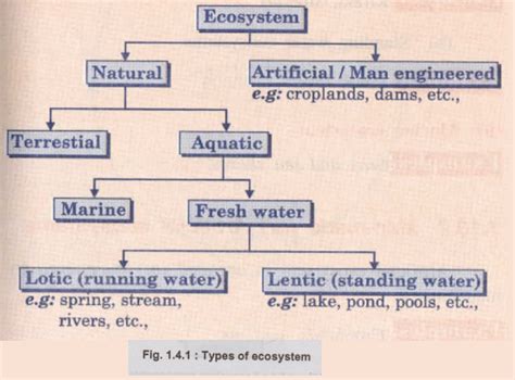 Ecosystems (Structure and Function) - Definitions, Scope, Importance ...