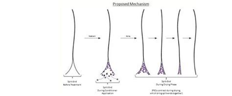 Seal 'em Up: Banish Your Split Ends | Style & Beauty