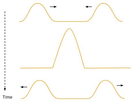 Image result for Interference Vector