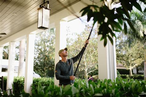 Pest Control Orlando FL - Panther Pest Control