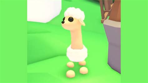 Sebee 2.Adopt Me 的图像结果