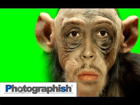Image result for Morphing Effect