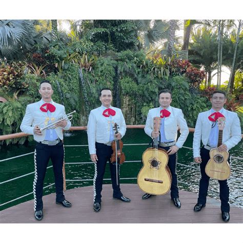 Mariachi Sol de Oro | El Nº1 de los Mariachis en Miami, Si Señor