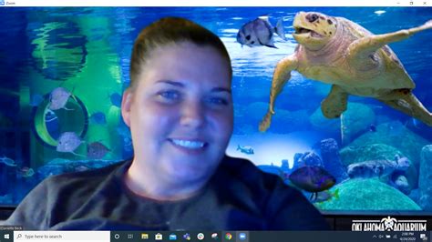 News Flash • Oklahoma Aquarium Jenks, OK • CivicEngage