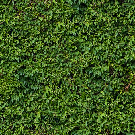 Leaf Collection PBR Texture – Seamless Ground Surface Material