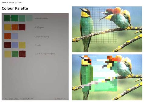 U22067 | CEPT - Portfolio