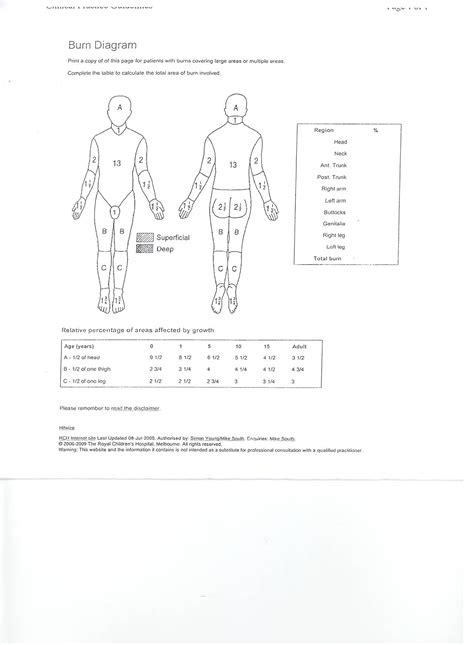 Burns Service : Clinical information