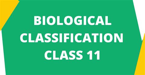 Image result for Biological Classification Class 11 Animation
