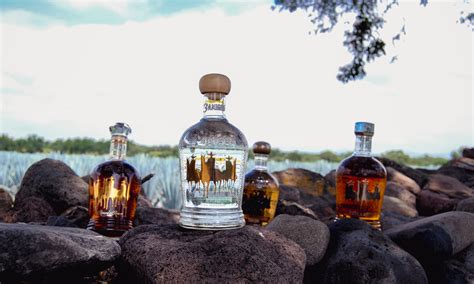 3 Amigos Tequila bottles on rock fence | 3 Amigos Tequila