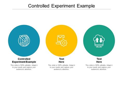 Controls in an Experiment Examples 的图像结果
