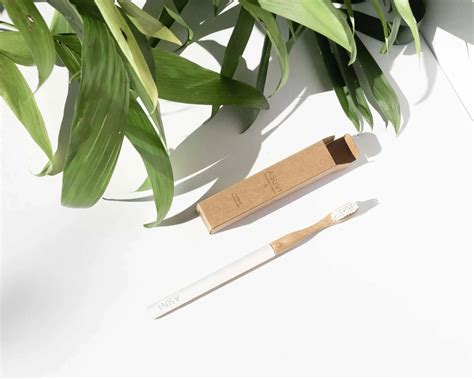 Asuvi - Dental Floss: Eco-Friendly, Minty Fresh Floss – Something ...