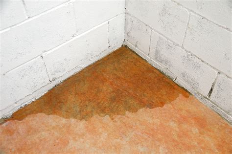 How Much Does Basement Waterproofing Cost on Average?