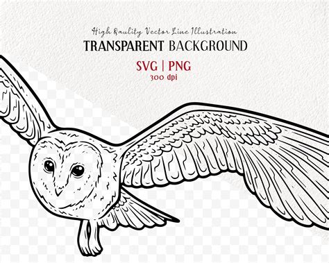 Barn Owl Vector Clipart. Snowy Owl Artwork. Flying Bird Line Drawing ...