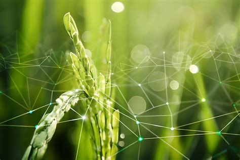 BENGALURU AGRI EXPO 26 | India’s Premier Agriculture & Agri-Tech Exhibition