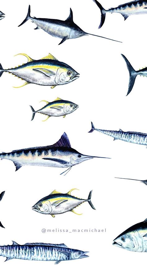 Image result for Fish Repeat Pattern