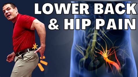 Image result for Lower Back Hip Muscles