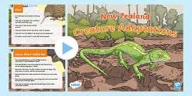 New Zealand Animal Adaptation Display Posters