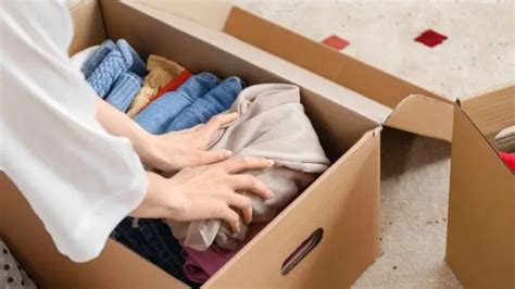 Image result for Cardboard Storage Solution
