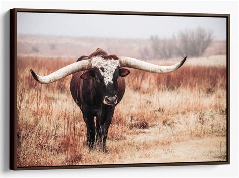 Longhorn Canvas Art