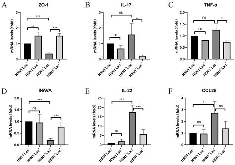 Lactoferrin Alleviates Inflammation and Regulates Gut Microbiota ...