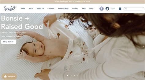 Image result for Website Carousel Examples
