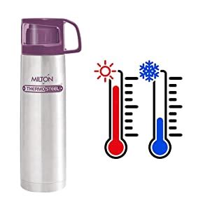 Buy MILTON Executive Lunch Box Soft Insulated Tiffin Box (2 SS ...