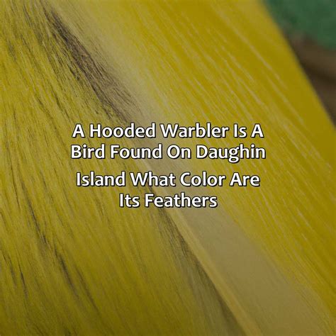 What Color Are Hippos - colorscombo.com