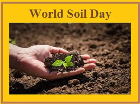 World Soil Day 2023: Current Theme, History and Key Facts