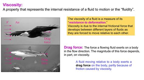 Image result for Statics Engineering Fluids