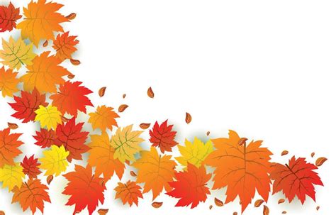 Image result for Fall Design Vector