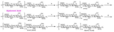 Hyaluronic Acid Oligosaccharide Derivatives Alleviate ...