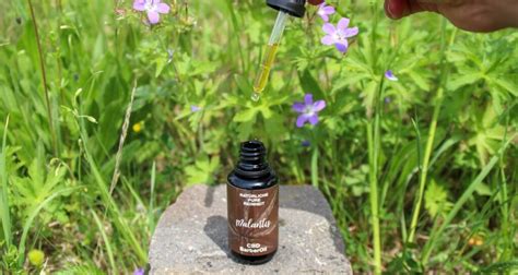 Malantis Barber Oil – Bartöl mit CBD - Nutzhanfprodukte international ...