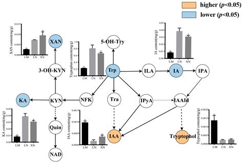 Proteomics Analysis Reveals the Underlying Factors of Mucilage ...
