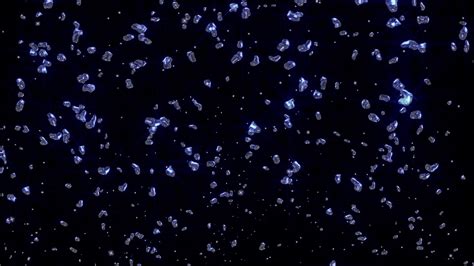 Particle Loop 的图像结果